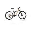 ebike ricondizionata · rise h30 · buone condizioni
