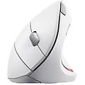 vetro mouse wireless 25132 bianco