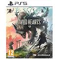 Electronic Arts Wild Hearts Ps5