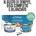 nature cat lattina multipack 12x85g tonnetto con pesce azzurro