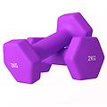 set 2 manubri 2x2 kg metallo e plastica 16x7. 5x7. 5 cm viola