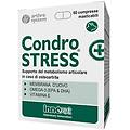 italia condrostress + 60cpr mastic