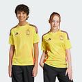 maglia away 25 (women's team) kids belgium