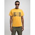 t-shirt in cotone con stampa lettering