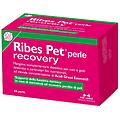 Ribes Nbf Lanes Recovry Cane E Gatto Perle