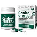 condrostress+ cat per gatti affetti da osteoartrite 30 capsule
