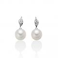 orecchini donna per2284