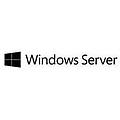 - microsoft ws 2019 5cals user