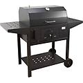 barbecue teseo 64x50x113cm