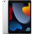 ipad 10. 2'' 256gb wi-fi + cellular 9&ordf; generazione argento
