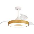 ventilatore da soffitto coin trasparente d. 50 cm