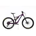 mtb ricondizionata · rallon carbonio x01 · buone condizioni