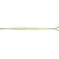 superscout sci da scialpinismo grey 176