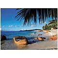 - puzzle paesaggi palme sulla spiaggi 1000 pz 70 x 50 cm 19018