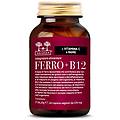 SALUGEA ferro + b12 integratore di ferro liposomiale rame vitamina b12 e c 60 capsule vegetali
