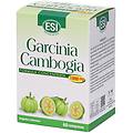 garcinia cambogia 1000 mg