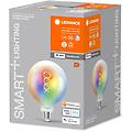 Ledvance Wifi E27 4 8w G125 Rgb Cct