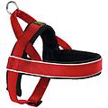 - pettorina norvegese racing large rossa 46365