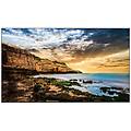 - qe65t pannello piatto per segnaletica digitale 165 1 cm (65') lcd 300 cd /m² 4k ultra hd