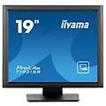 t1931sr-b1s 19" ips monitor 1280 x 1024 sxga 80hz 14ms
