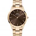 orologio uomo iconic amber dw00100460