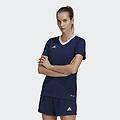 maglia entrada 22