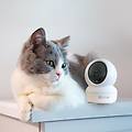 c6n telecamera wi-fi interno 1080p