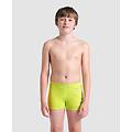 shorts - soft green