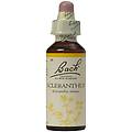 Schwabe Pharma Sclerantus Bach Orig
