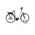 ebike ricondizionata · riese & müller swing vario · buone condizioni riese