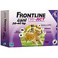 Frontline Tri Act Cane 20 40kg 6 Pipette 4 Ml