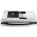 smartoffice pn2040 scanner piano e adf 600 x 600 dpi a4 nero bianco (0204)