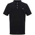 polo 'standard'