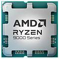 processore ryzen 9 9900x 12 nuclei 4 4 ghz base 5 6 ghz turbo grafica integrata
