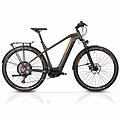 29 e-mtb suv maverix bosch performance lineperformance line cx 500wh boost
