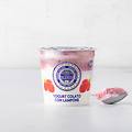 yogurt colato al lampone 150 g