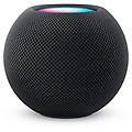 homepod mini my5g2sm/a grigio siderale