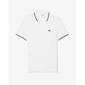 polo regular fit