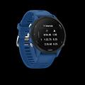 smartwatch forerunner 255-tidal blue