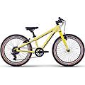 x-coady 20 sl lemon