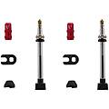 tubeless valves 70mm x 2 (coppia)