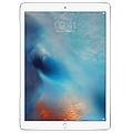 Apple Ipad 2018 32 Gb Argento Wi Fi Cell Grade A