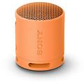 srs-xb100 speaker wireless bluetooth portatile leggero compatto da esterno da viaggio resistente