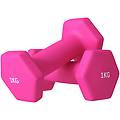 set 2 manubri da 2x1 kg in metallo e plastica 13x5x5 cm rosa