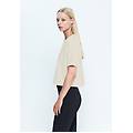 t-shirt donna cropped elite x crystal gray donna small