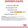 Royal Canin Intense Beauty Gelee Wet