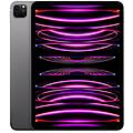 ipad 11 pro wi-fi + cellular 256gb grigio siderale