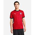 egitto home replica m maglia calcio ufficiale uomo color mix m
