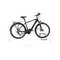 ebike ricondizionata · e-horizon expert · buone condizioni