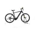 ebike ricondizionata · lt evo cx 29 rh54 grau 500wh · come nuovo